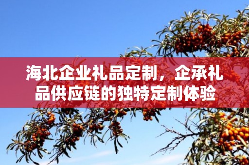 海北企业礼品定制，企承礼品供应链的独特定制体验