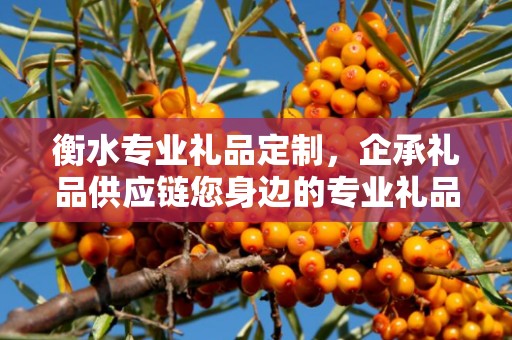 衡水专业礼品定制，企承礼品供应链您身边的专业礼品定制公司